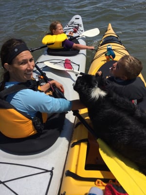 Fundy National Park Of Canada by null