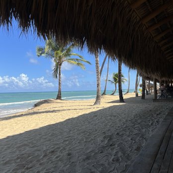 Excellence Punta Cana - Resorts Near Me - Punta Cana, Georgia