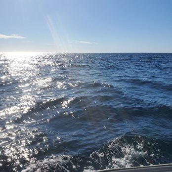 Oceanside Coastal Expeditions - Whale Watching Tours Near Me - Oceanside, California Oceanside Coastal Expeditions - Whale Watching Tours Near Me - Oceanside, California