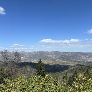 Barnett Vineyards - The view - Wineries Near Me - Saint Helena, California