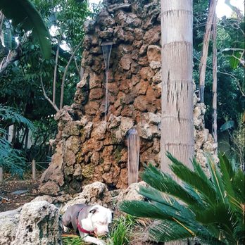Kings Road Park - My pup (Monroe)at Kings Road Park. - Parks Near Me - West Hollywood, California