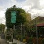 Photo of Floricultura Vittoria Garden