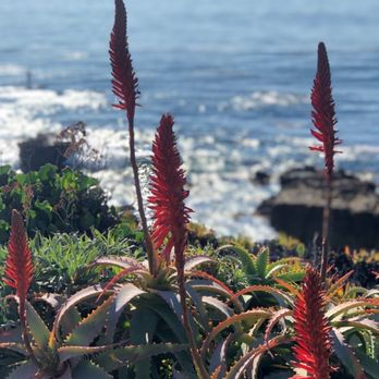 Heisler Park - Coastal views - Parks Near Me - Laguna Beach, California Heisler Park - Coastal views - Parks Near Me - Laguna Beach, California