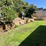 Gold Hive Landscaping