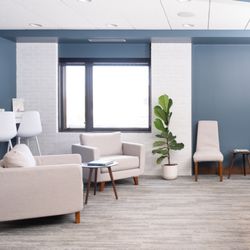 Anchored Orthodontics