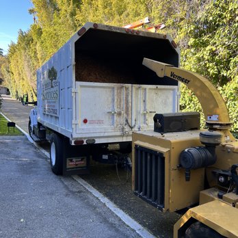 Inexpensive Tree Services - Tree Services Near Me - Los Angeles, California