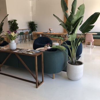 Fox & Kit - Coffee & Tea Near Me - San Rafael, California