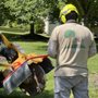 E C Tree Service & Landscaping