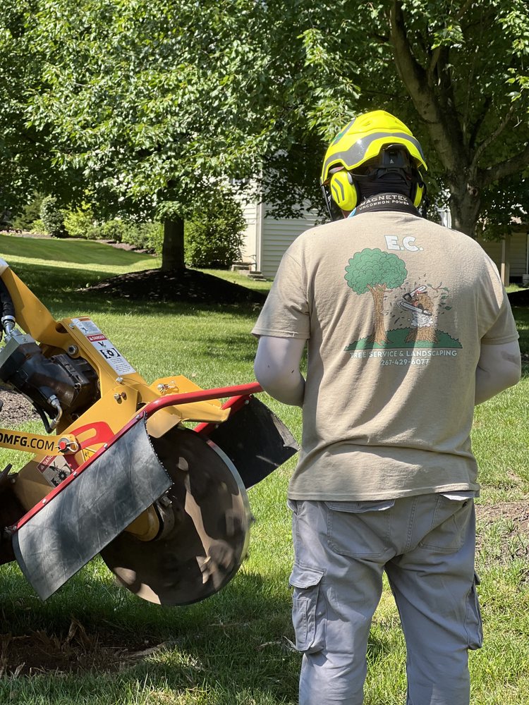 E C TREE SERVICE & LANDSCAPING - Updated August 2025 - Request a Quote ...