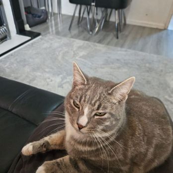 Victoria Wine - Simba says thank you and he misses you. - Beer, Wine & Spirits Near Me - Rotherham, XSY Victoria Wine - Simba says thank you and he misses you. - Beer, Wine & Spirits Near Me - Rotherham, XSY