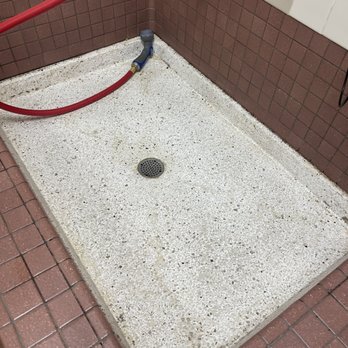 Pet Food Express - Grimy bath tub with mold - Pet Stores Near Me - Beverly Hills, California Pet Food Express - Grimy bath tub with mold - Pet Stores Near Me - Beverly Hills, California
