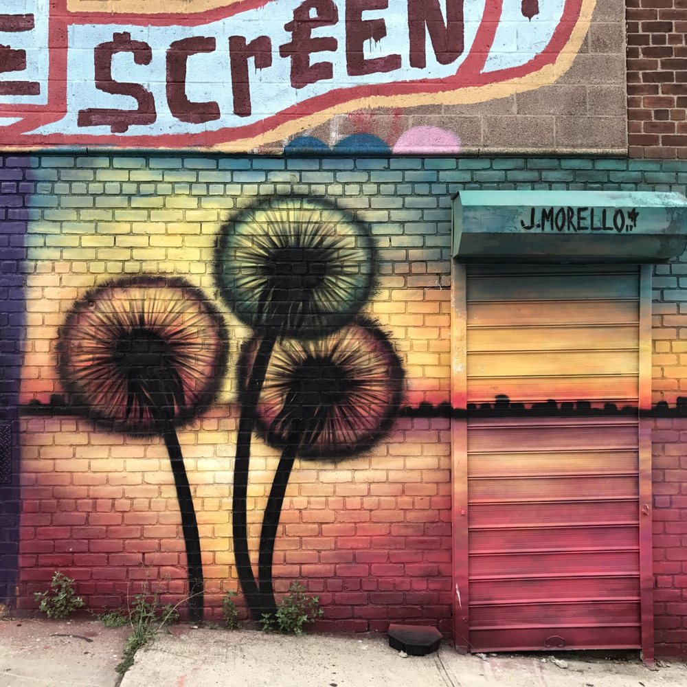 Welling Court Mural Project - Public Art Near Me - Astoria, New York