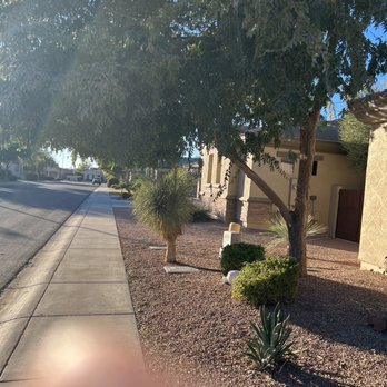 On Sight Tree Removal - Tree is pruned now!  I strongly recommend this guy! - Tree Services Near Me