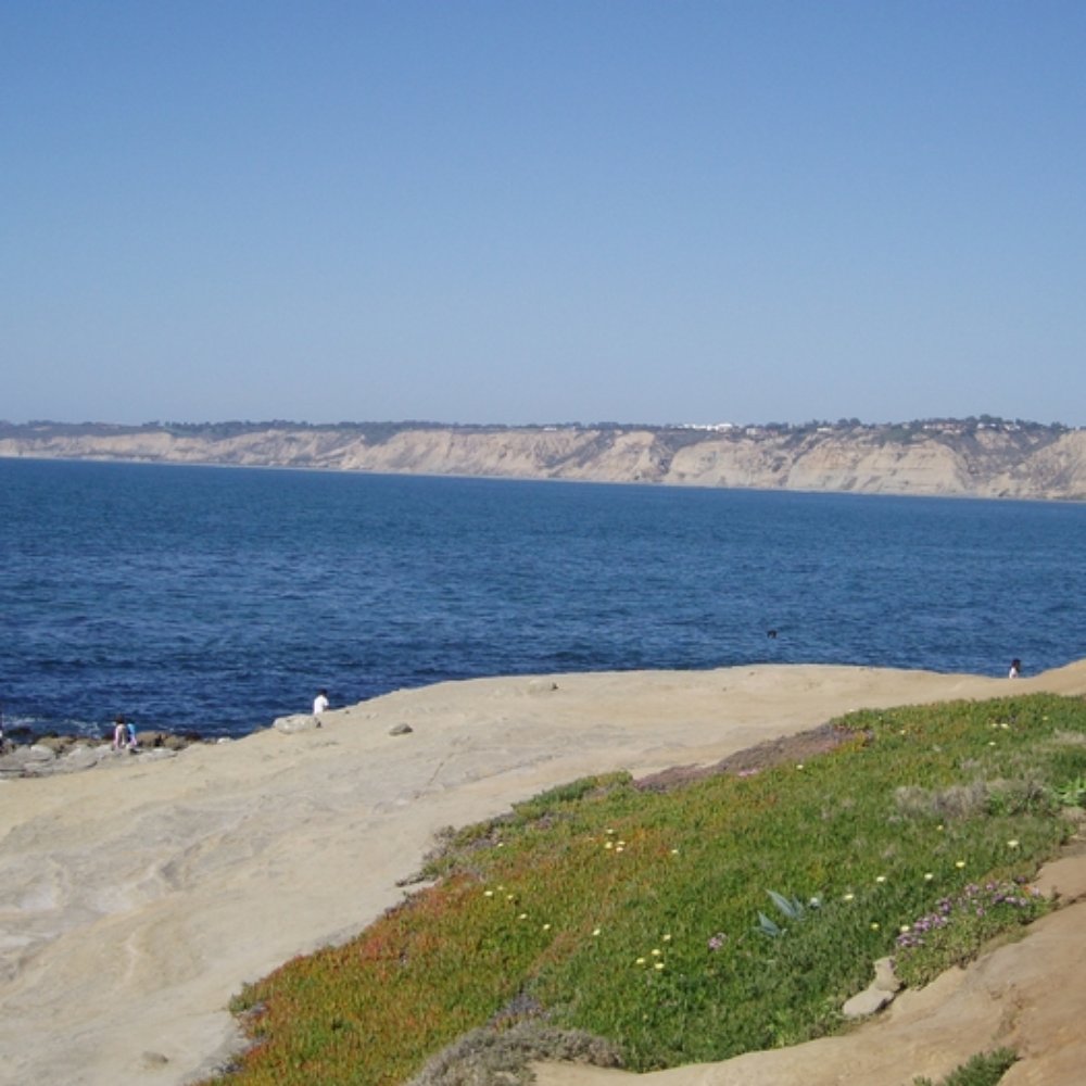 Ellen Browning Scripps Park - Parks Near Me - La Jolla, California Ellen Browning Scripps Park - Parks Near Me - La Jolla, California