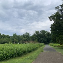Meadow on the left for the butterflies and other wildlife.