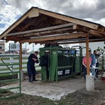 North Cache Veterinary Service - Our hydralic chute - Veterinarians Near Me - Richmond, Utah North Cache Veterinary Service - Our hydralic chute - Veterinarians Near Me - Richmond, Utah