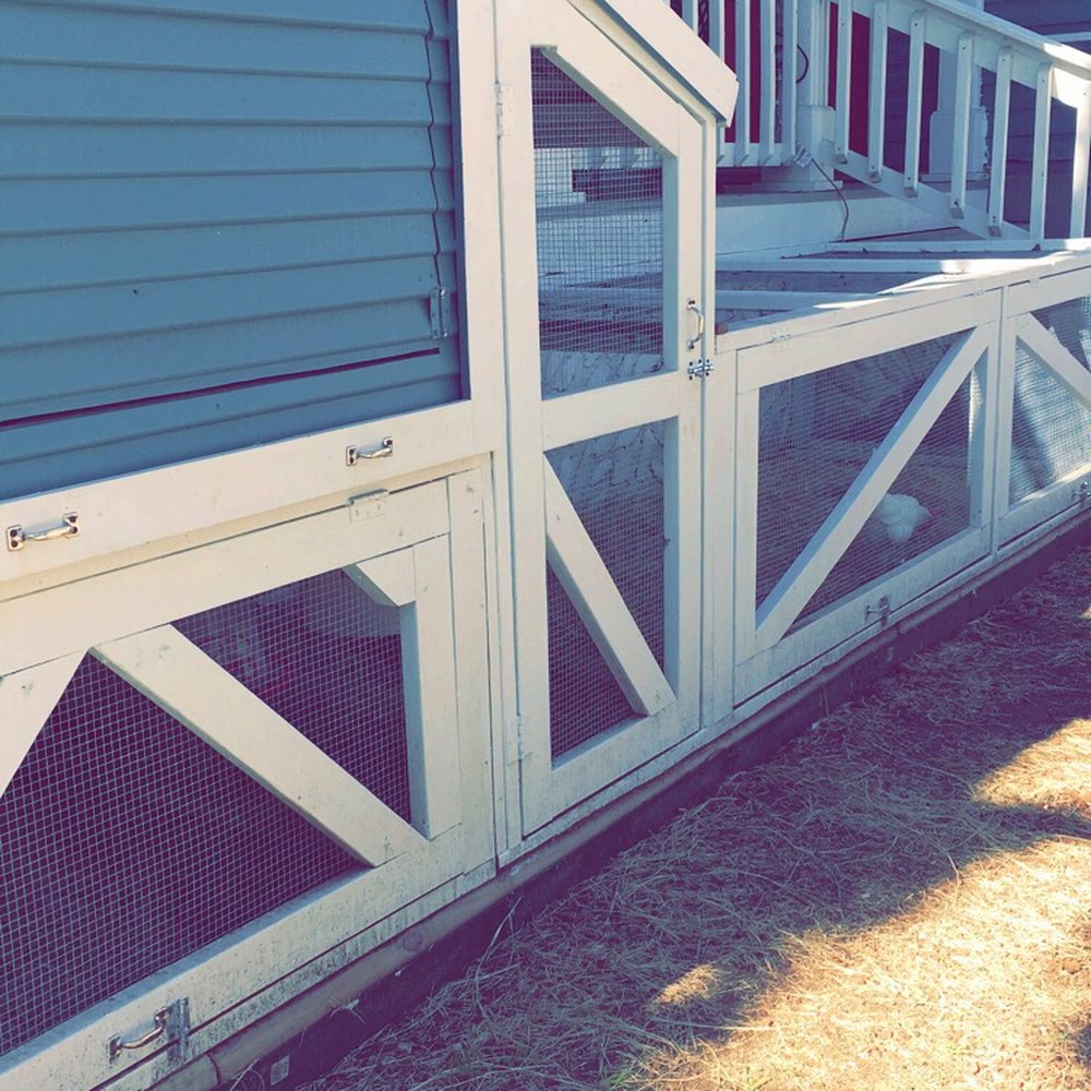 Inn On The Riverwalk - Check it this adorable #chickencoup! - Bed & Breakfast Near Me - San Antonio, Texas Inn On The Riverwalk - Check it this adorable #chickencoup! - Bed & Breakfast Near Me - San Antonio, Texas
