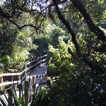 Lori Wilson Park - Maritime Hammock Trail @Lori Wilson Park - Parks Near Me - Cocoa Beach, Florida Lori Wilson Park - Maritime Hammock Trail @Lori Wilson Park - Parks Near Me - Cocoa Beach, Florida