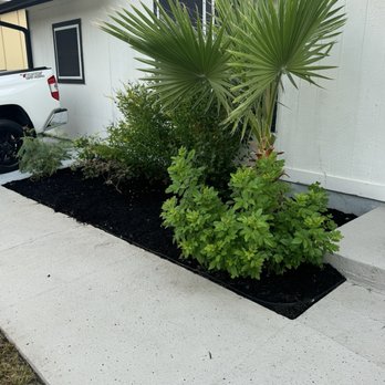 Sanchez Landscape  - Everything was trimmed, weeds were removed and mulch was installed - Lawn Services Near Me - Austin, Texas