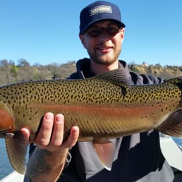 The picture doesn't do it justice - this fish was thicker than a bowl of oatmeal. The picture doesn't do it justice - this fish was thicker than a bowl of oatmeal.