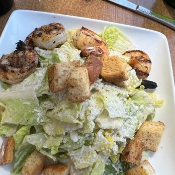 Veranda Restaurant - Caesar Salad with grilled shrimp - American Near Me - San Diego, California Veranda Restaurant - Caesar Salad with grilled shrimp - American Near Me - San Diego, California