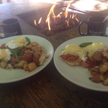Fig Tree Cafe - Sandwiches Near Me - Pacific Beach, California