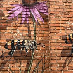 Amazing artwork on the building