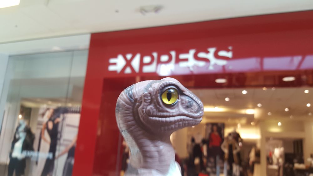 Express Logo
