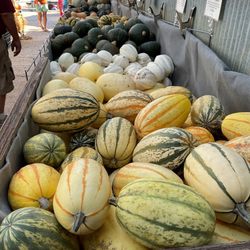 Pendleton's Country Market
