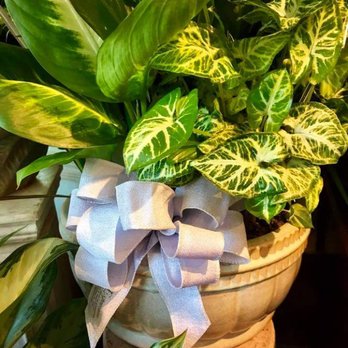 Expressions Florist - Interior Design Near Me - Athens, Texas