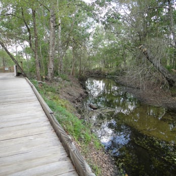 Lake Lotus Park - February 2013 - See how low the water is? - Parks Near Me - Altamonte Springs, Florida
