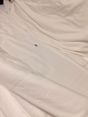 Shelter Island House by null