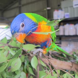Brisbane Northside Produce