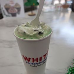 Whit's Frozen Custard - Stuart - Grasshopper