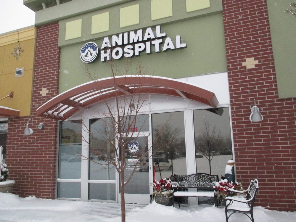 TIMBERLINE ANIMAL HOSPITAL with photos Updated August 2024 27
