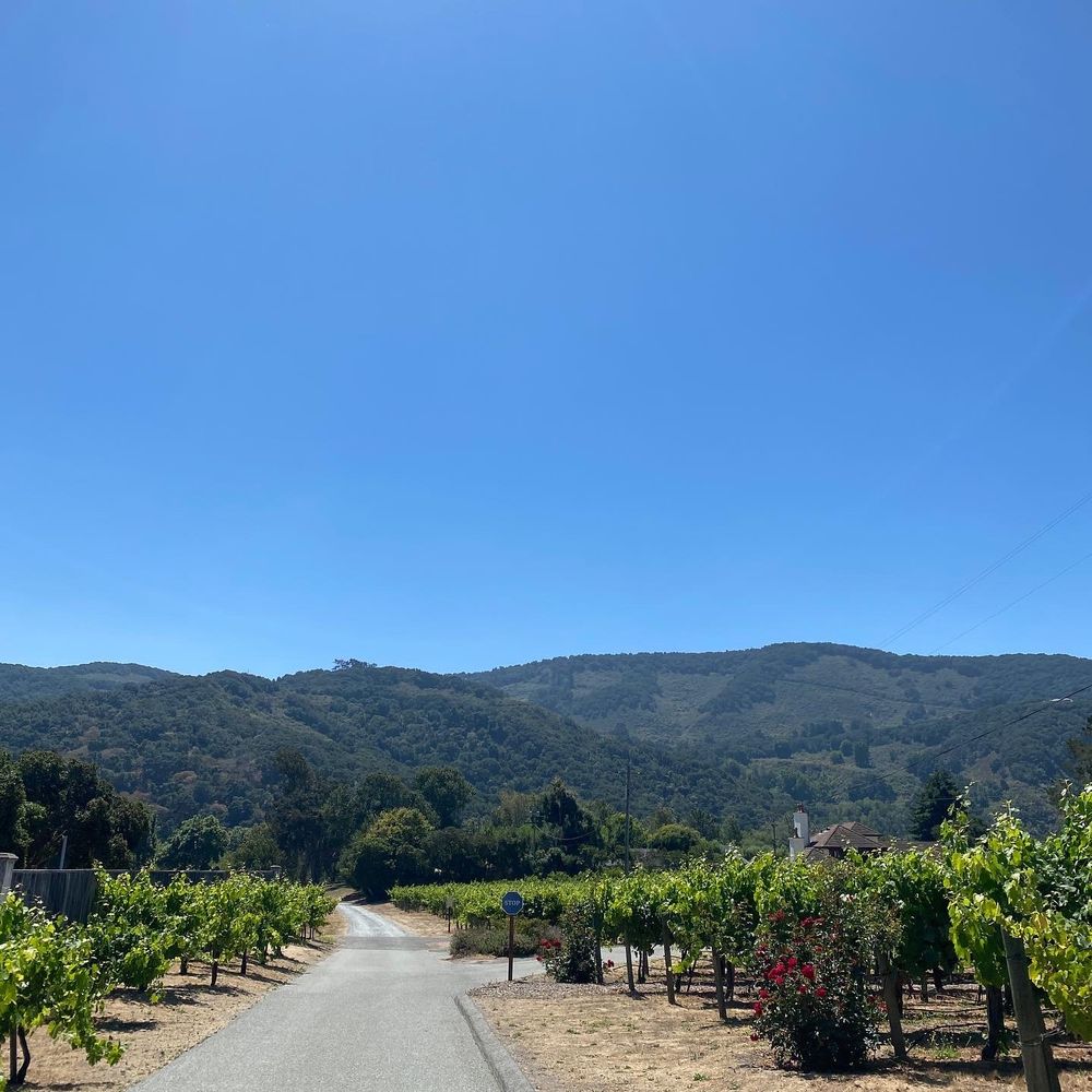 Folktale Winery - Amazing views! // IG: @earlgreydiaries - Wineries Near Me - Carmel, California Folktale Winery - Amazing views! // IG: @earlgreydiaries - Wineries Near Me - Carmel, California