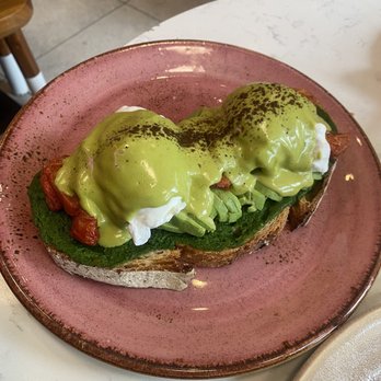 Parakeet Cafe - La Jolla - Eggs Benny - Coffee & Tea Near Me - La Jolla, California Parakeet Cafe - La Jolla - Eggs Benny - Coffee & Tea Near Me - La Jolla, California