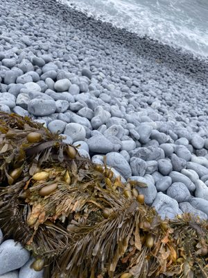 Agate Beach Motel by null