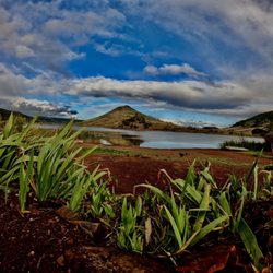 Lac Du Salagou - Superbe lac