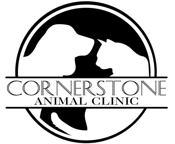 CORNERSTONE ANIMAL CLINIC Updated August 2024 45 Photos & 73