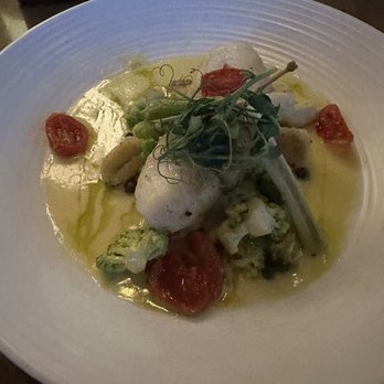 OLIVIA - Halibut was amazing - Italian Near Me - Tampa, Florida OLIVIA - Halibut was amazing - Italian Near Me - Tampa, Florida