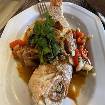 Naa Mo Thai Restaurant - Fried red snapper. Since we ordered the whole fish it was a good size - Thai Near Me - Monroe Township, New Jersey Naa Mo Thai Restaurant - Fried red snapper. Since we ordered the whole fish it was a good size - Thai Near Me - Monroe Township, New Jersey