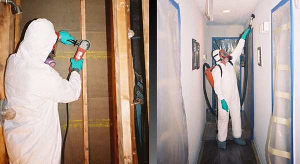 Dry Ease Mold Removal NYC