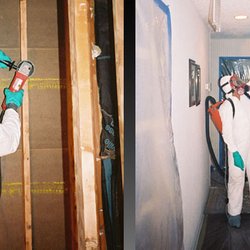 Dry Ease Mold Removal NYC