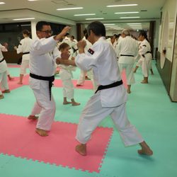 Orange County Shorinji Kempo - Practice at Tokyo Dojo