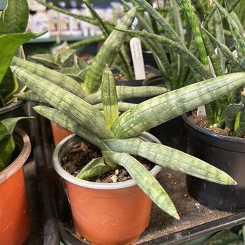 The Good Day Garden - How unique is this? - Nurseries & Gardening Near Me - Indianapolis, Indiana