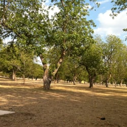 Johnson Creek RV Resort - Beautiful grounds.