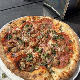 Carnivora