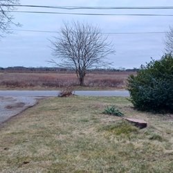 Mott's Tree Service - Great cleanup and job, the tree was hanging over my roof and power lines.