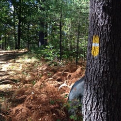 Libby Hill Trails - Well marked trails